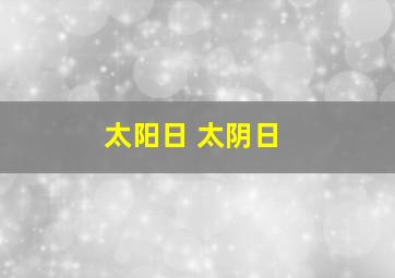 太阳日 太阴日